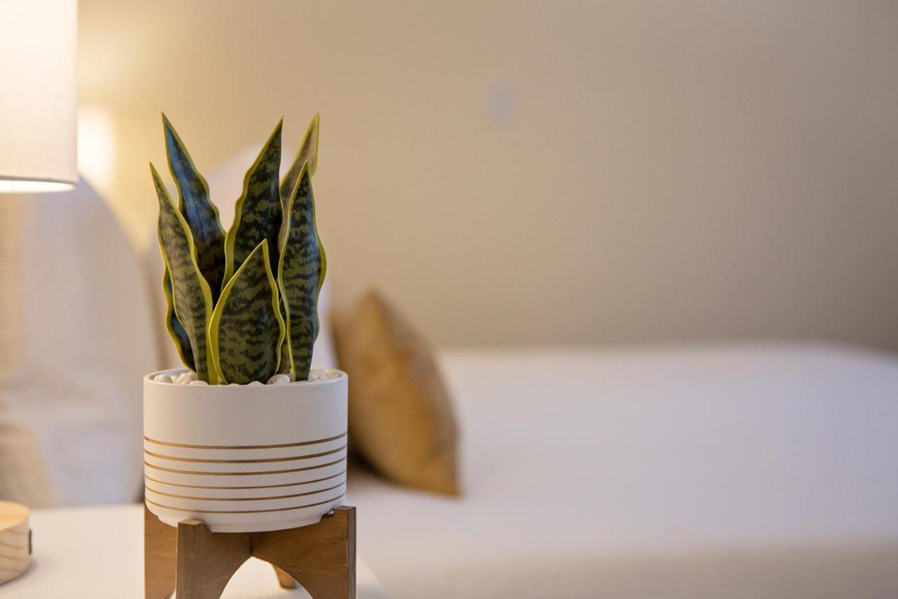 Stirling All Suites Hotel Нелсън Екстериор снимка